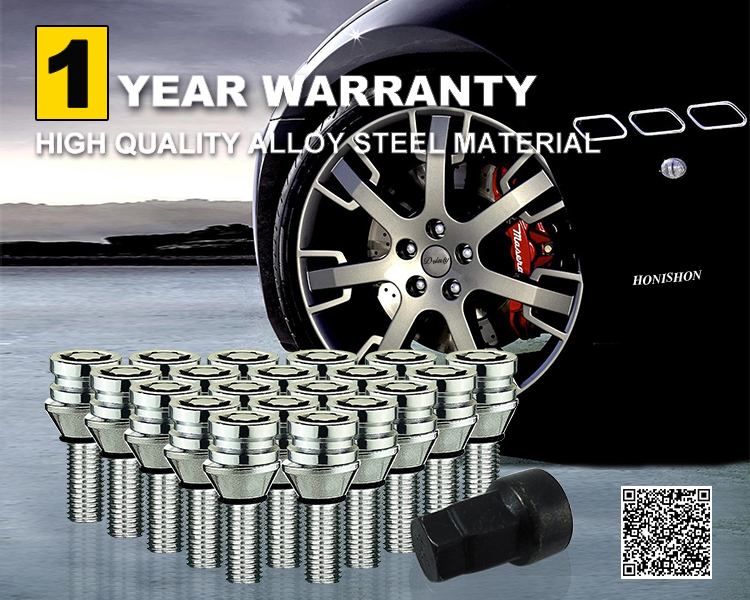 Wheel Lock Bolts