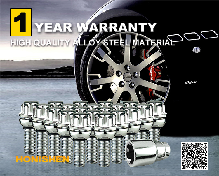 Wheel Lock Bolts